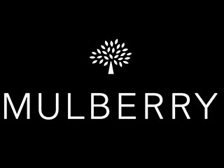 【包税】mulberry/玛百莉 女士波尔多红单肩包