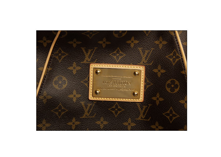 louis vuitton(路易·威登)老花色单肩包