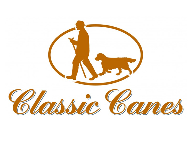 qi ta pinpai(其他品牌) 克莱思科黑色镶钻拐杖