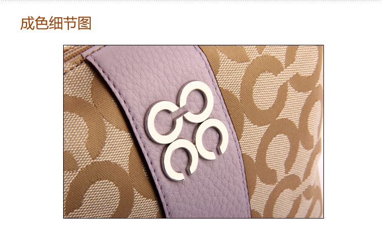 【coach蔻驰 手提包】coach 卡其色logo帆布手提包【正品 价格 图片】